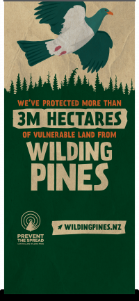 Image of banner with the following statement - we've protected more than 3 million hectares of vulnerable land from wilding pines