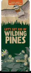 Image of banner with Banded Dotteral and Daisy - let's get rid of wilding pines
