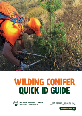 Image Wilding ID Guide cover 2023