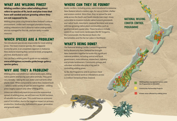 Image of page 2 of the trifold wilding pine information brochure with a gecko in the centre and a map of New Zealand to the right