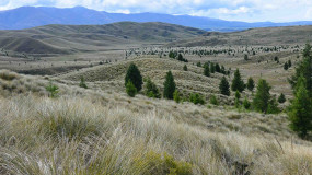 What landowners need to know