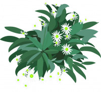 Illustration of a daisy
