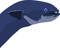 Illustration of a short finned eel