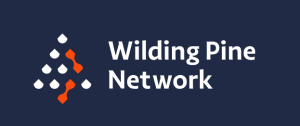 Wilding Pine Network logo