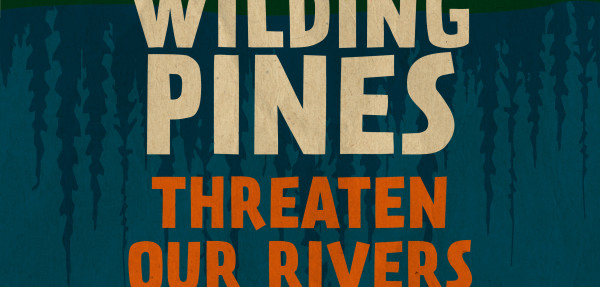 Threaten our Rivers infographic