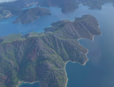 Wilding control work on Arapoa Island viewed from a plane flying over head