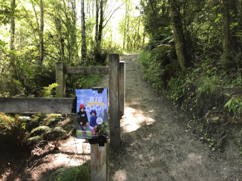 Photo of walkway in Arrowtown with Big Chop Poster in foreground