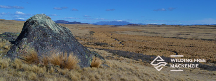 Photo of Mackenzie landscape with Wilding Free Mackenzie logo in bottom right corner