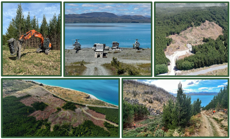 Montage of progress photos Ferintosh