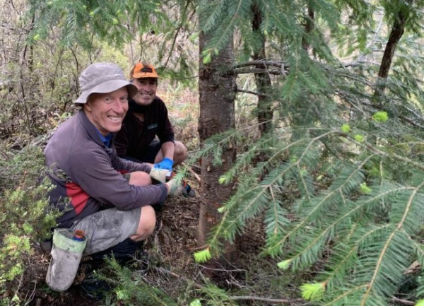 Image of two men crouching at foot of wilding