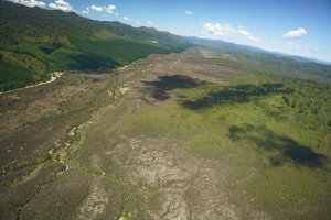 Wilding  control work in Rangitaiki MU - photo credit Cam Wolting (BOPRC)
