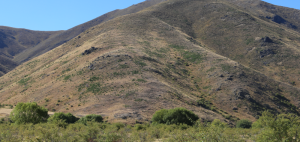 Wilding work alongside the Alma River