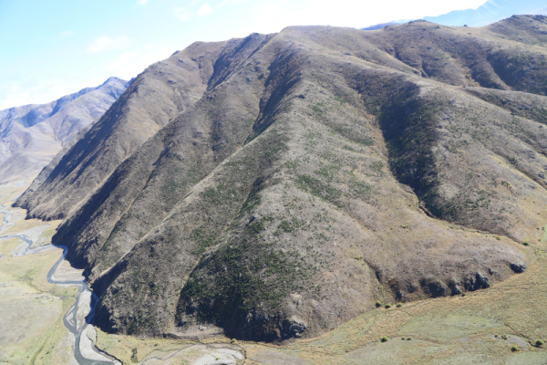 Image Alma Tarndale wildings Molesworth