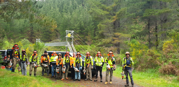 Picture of PF Olsen crew in the PPE in the Hackett operational area ready to control wilding pines