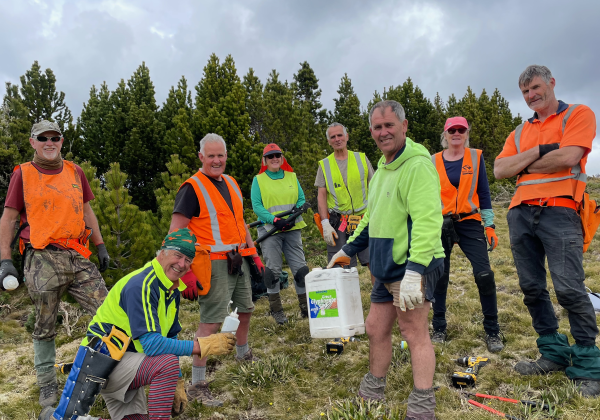 Picture of volunteers with wilding control equipment