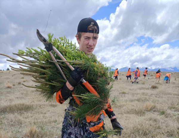 Picture of student with armfull of loppers and chopped seedlings