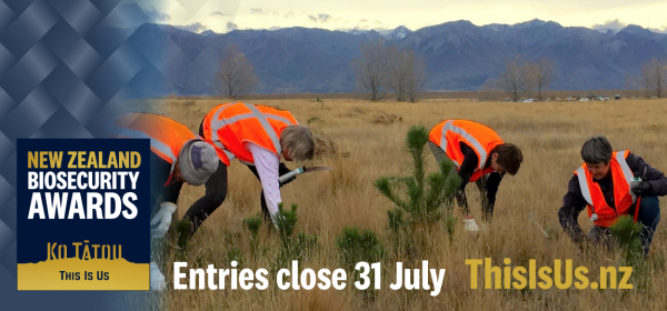 This is a banner for the New Zealand Biosecuirty awards which close on 31 July. The image shows volunteers pulling out wilding pines