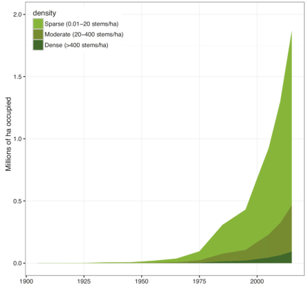 The graph depicts density of wilding pines from 1900 to 2015 with a large increase in sparse, moderate and dense infestations